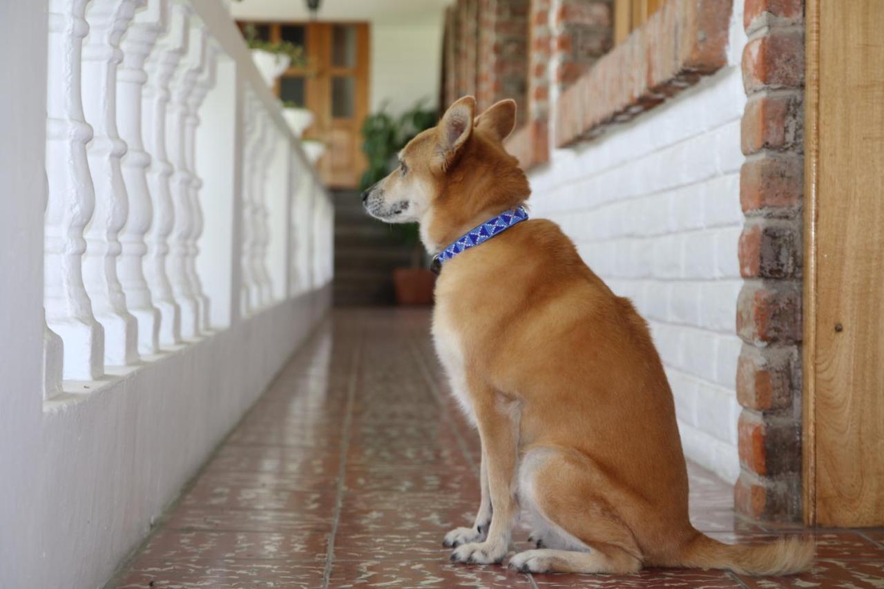 La Posada Del Quinde Otavalo Zewnętrze zdjęcie